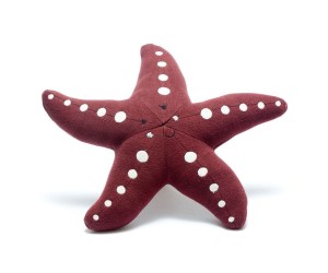 organic starfish 1200 x